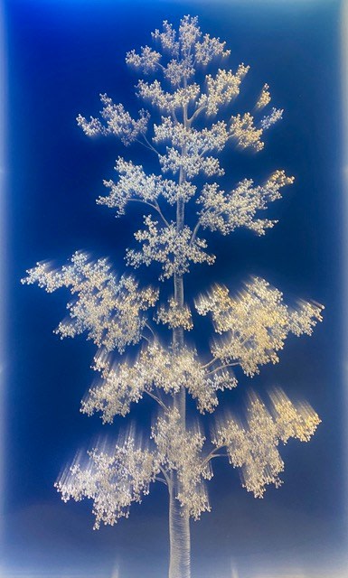 SUMMER DAYDREAMING, 2020 &nbsp;, Refracted light, glass, acrylic, motion programmed LED lights