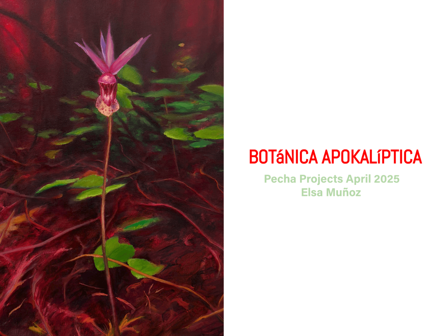 Pecha Projects: Elsa Muñoz Botánica Apokalíptica
