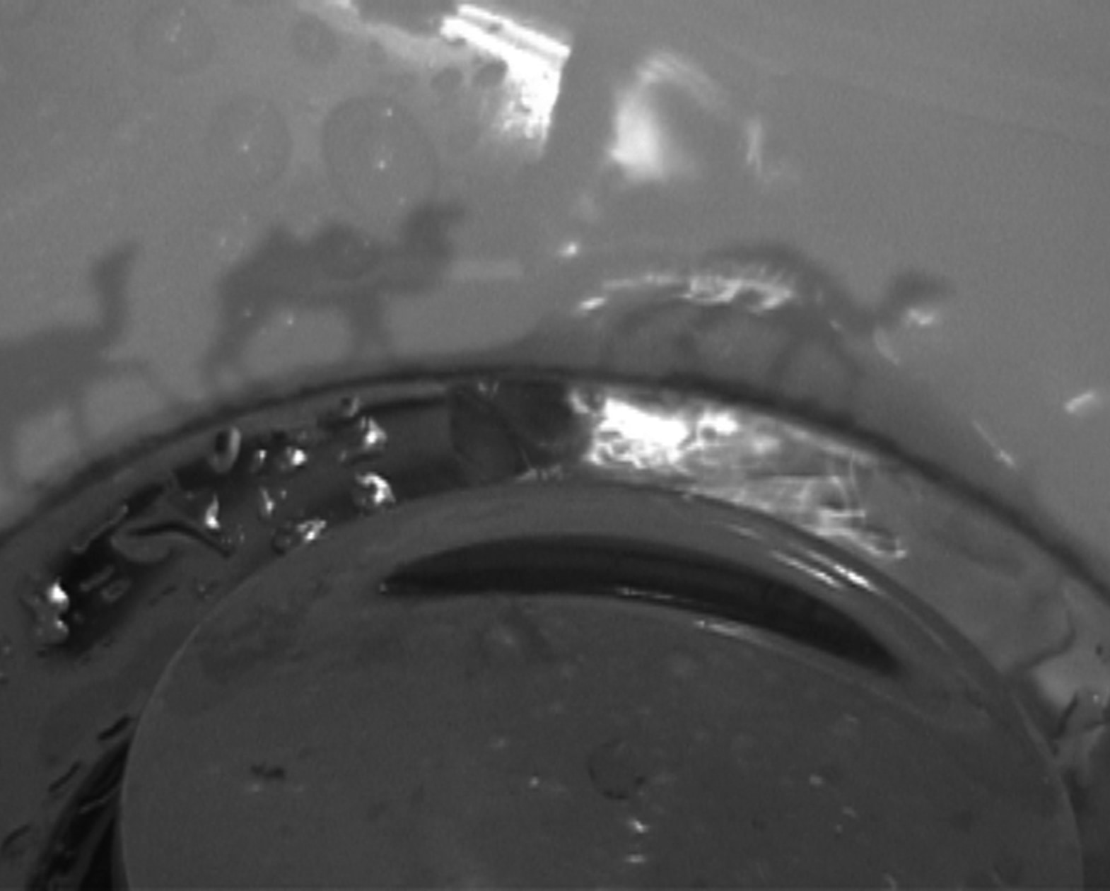 Hiraki Sawa at The Asia Society