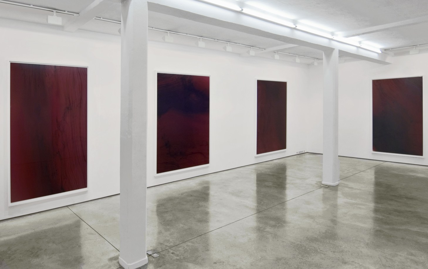 Wolfgang Tillmans, Truth Study Centre, exhibition view, Maureen Paley, London, 2005. &copy; Wolfgang Tillmans, courtesy Maureen Paley, London.