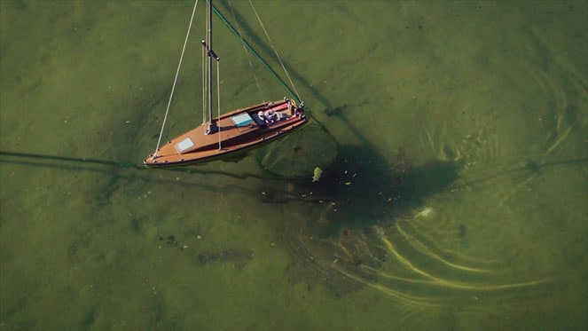 Image &copy; Teresa Cos,&nbsp;REEL to REEL, 2017. Courtesy of the Artist.