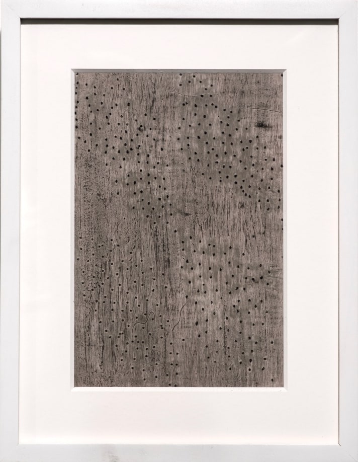 Clifford Owens, Prick, 2018, graphite, oil pastels, gesso on paper, 14 x 11 inches (paper), 17 x 13 inches (framed), private collection.