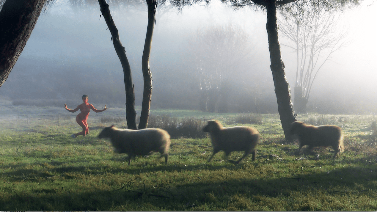 Image &copy; Courtesy of the artist and C L E A R I N G New York, Brussels