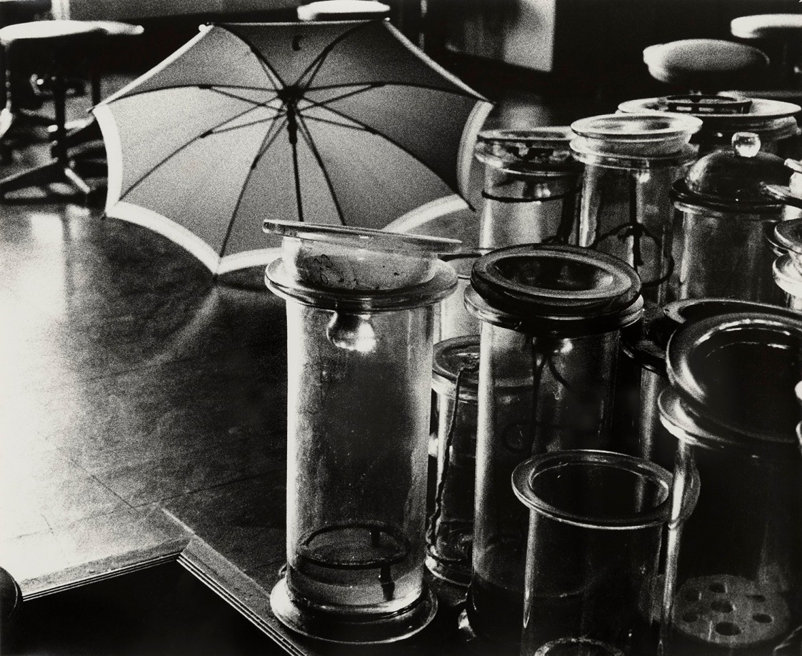 Ishiuchi Miyako, Untitled from Suidobashi, 1982, vintage silver gelatin print. Courtesy of Michael Hoppen Gallery and Independent.