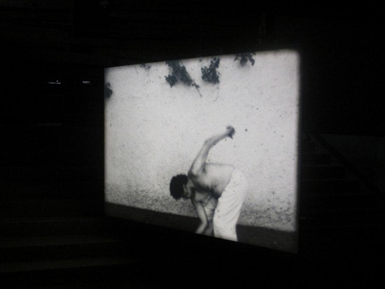 Joachim Koester: Reptile brain or reptile body, it&#039;s your animal. 27 Feb. - 20 May 2013,&nbsp;Palais de Tokyo,&nbsp;Paris&nbsp;