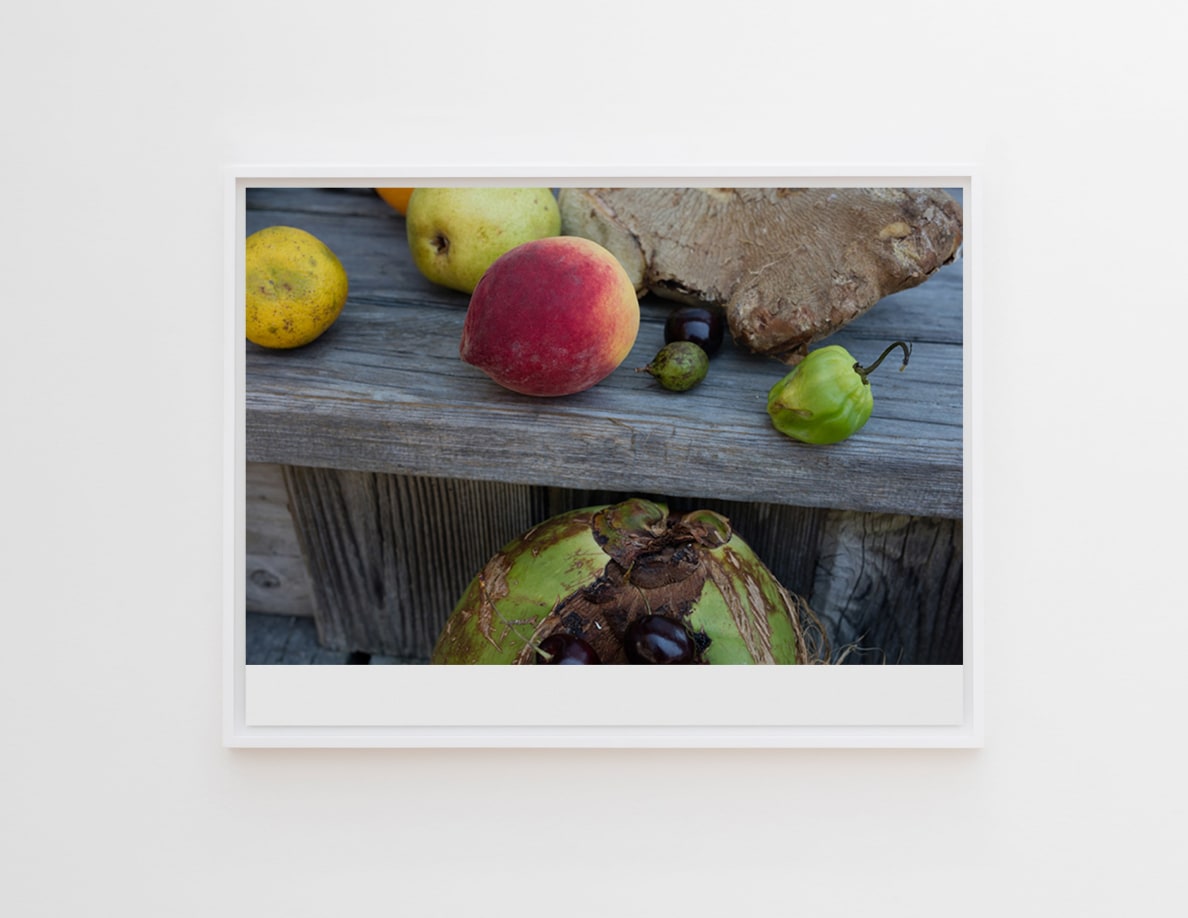 Wolfgang Tillmans, Peach alive, 2016, inkjet print on paper mounted on aluminium in artist&rsquo;s frame, 24 7/8 x 32 1/2 in, courtesy the artist and Maureen Paley, London