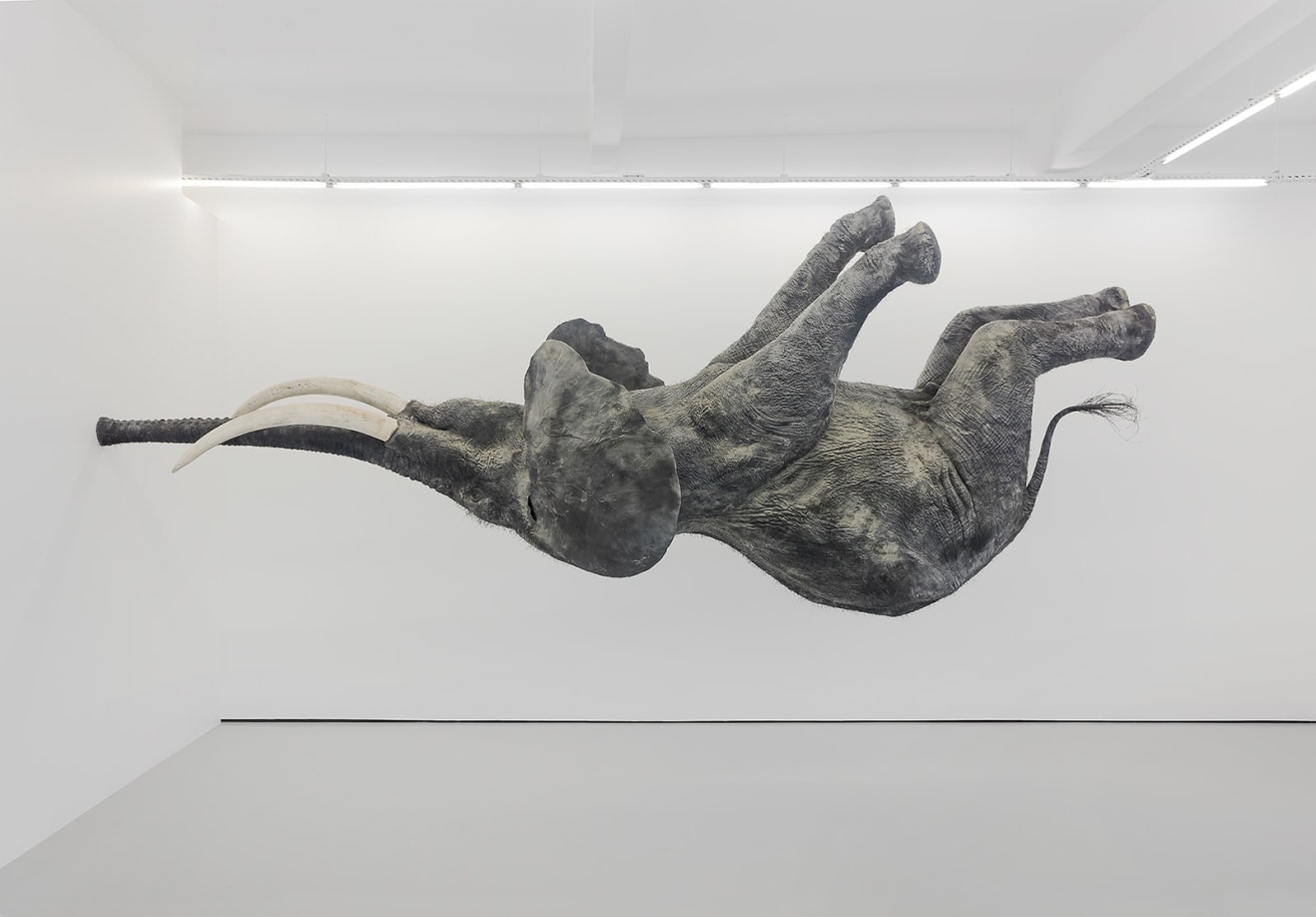 Daniel Firman, The Fragment Dimension, Courtesy of the artist and The Pill