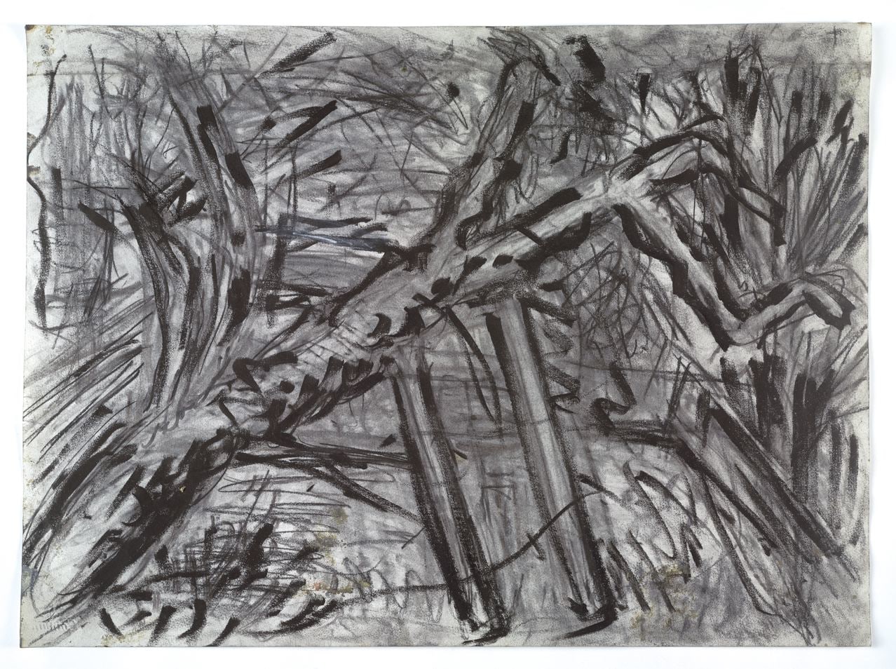  LEON KOSSOFF