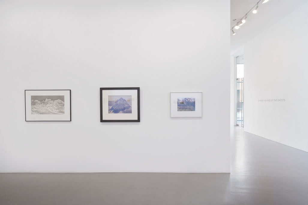 CURATED BY: JUSTINE KURLAND & DAN TOROP