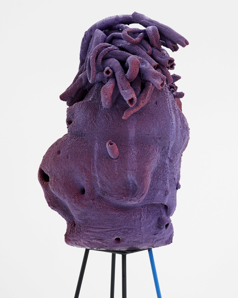 ARLENE SHECHET Tell All 2021