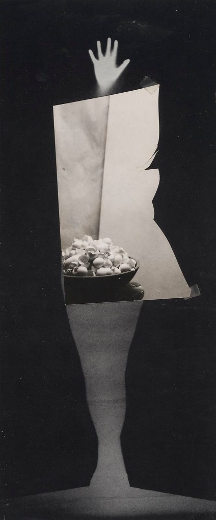 JAY DeFEO