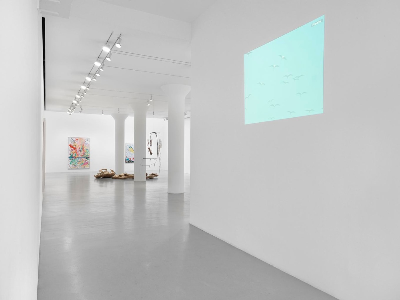 NANCY GRAVES Installation view at Mitchell-Innes & Nash, NY, 2015