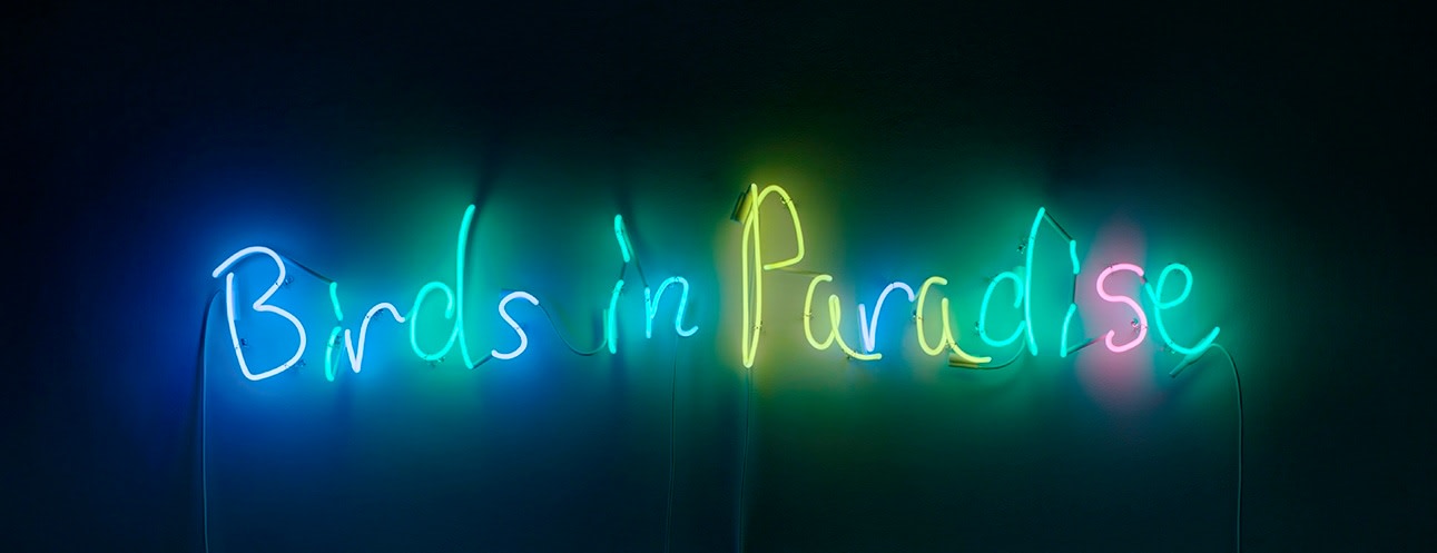 JACOLBY SATTERWHITE Birds in Paradise 2019