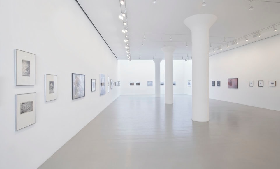 CURATED BY: JUSTINE KURLAND & DAN TOROP