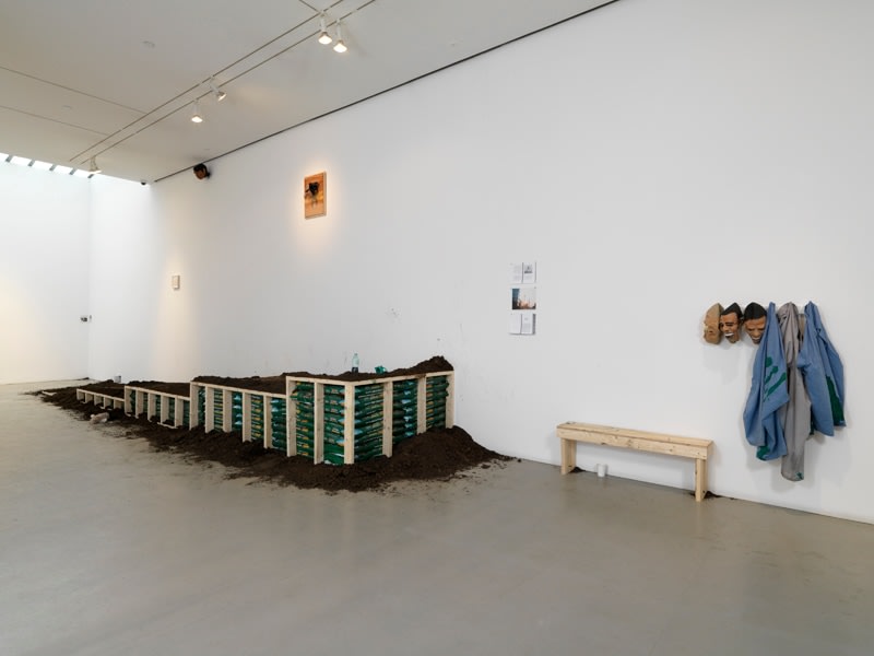 POPE.L Landscape + Object + Animal