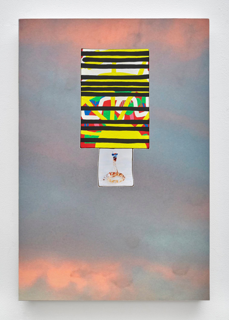 SADIE BENNING Snake 2017