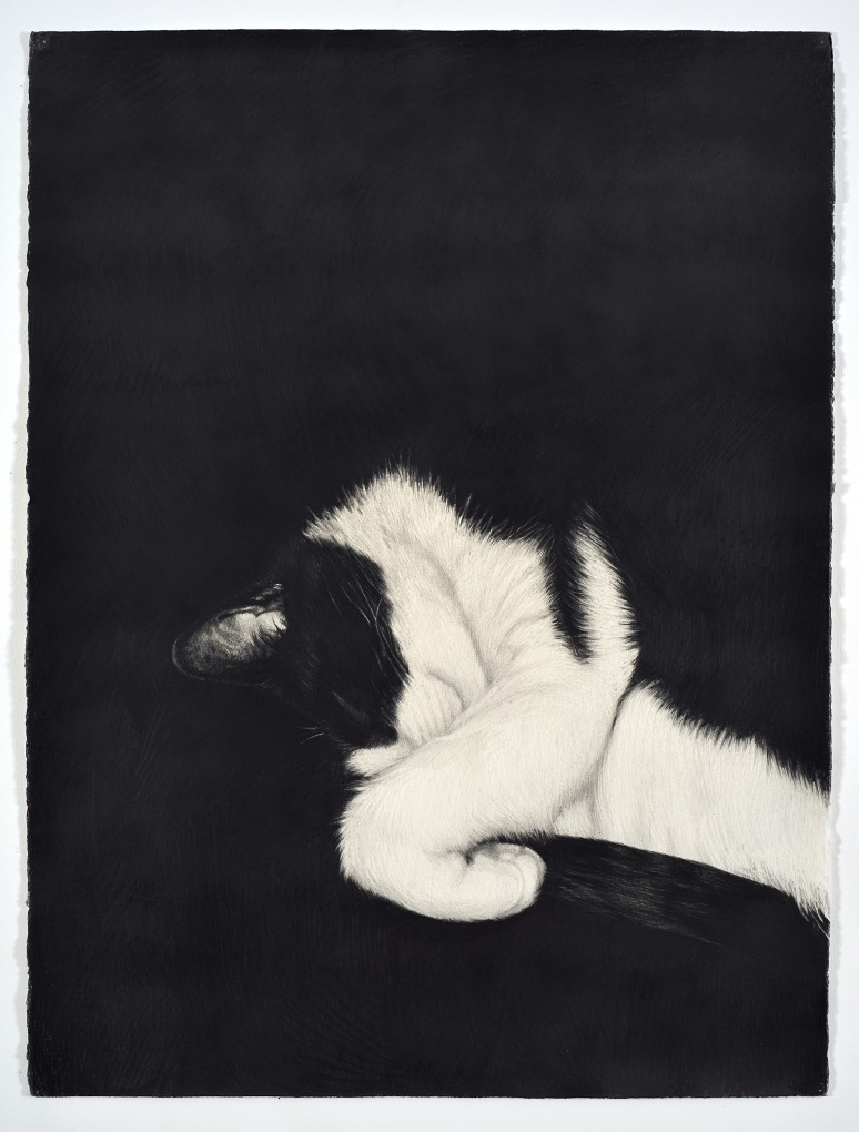 KARL HAENDEL Cat