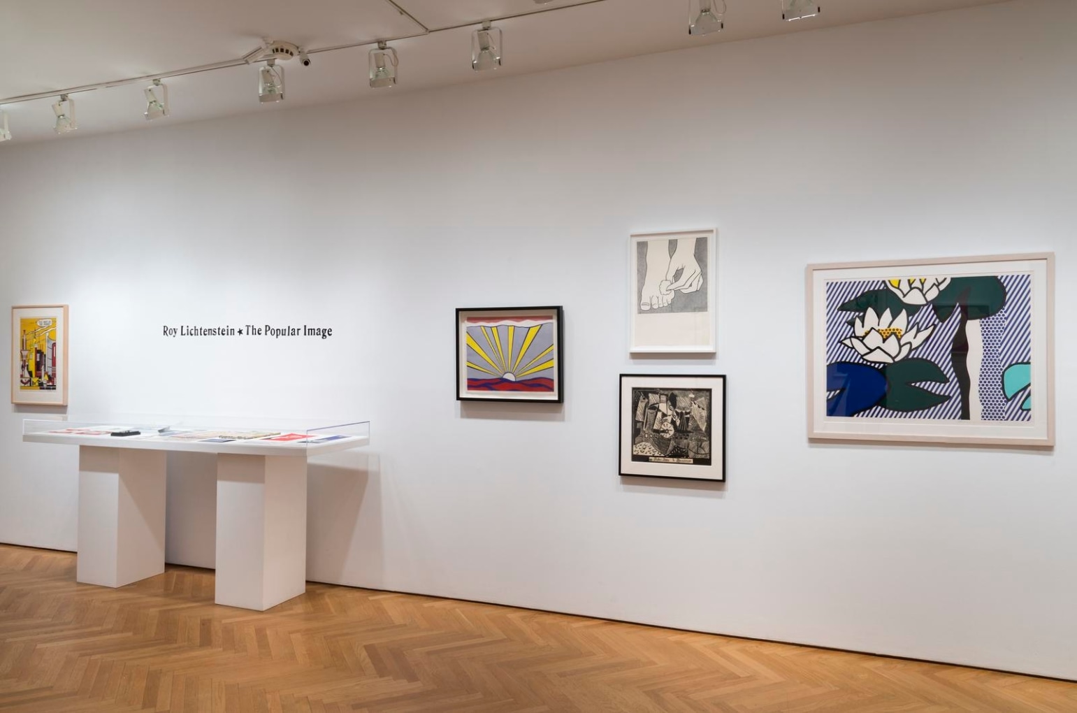 ROY LICHTENSTEIN&nbsp; The Popular Image&nbsp;