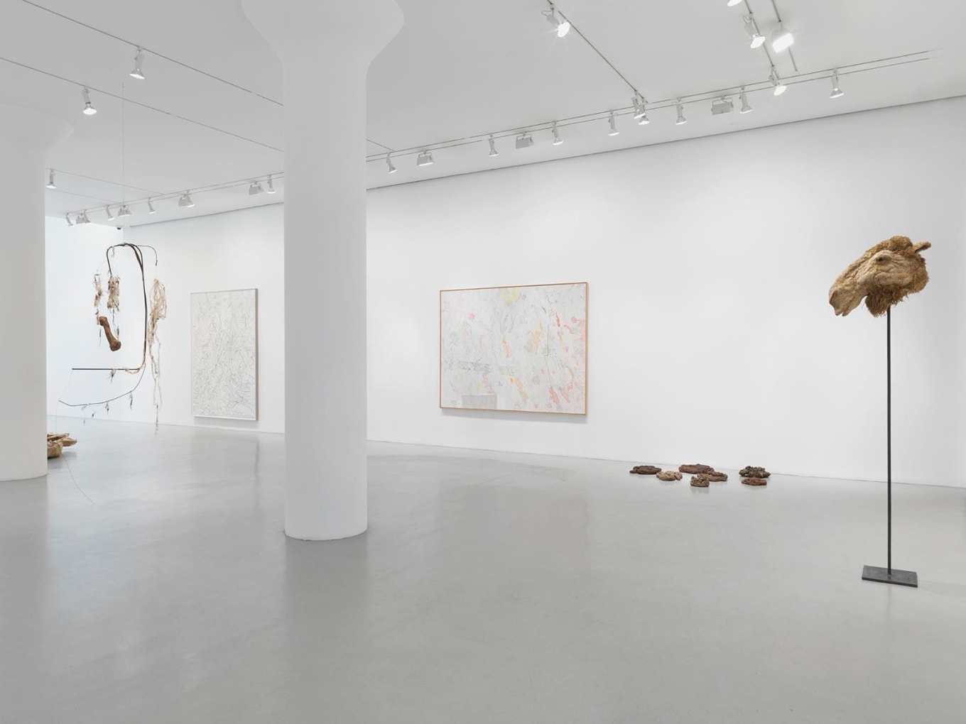 NANCY GRAVES Installation view at Mitchell-Innes & Nash, NY, 2015