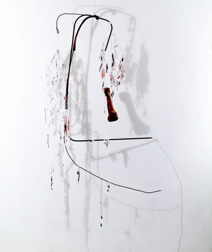 NANCY GRAVES