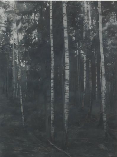 PAUL WINSTANLEY Birchwood 2