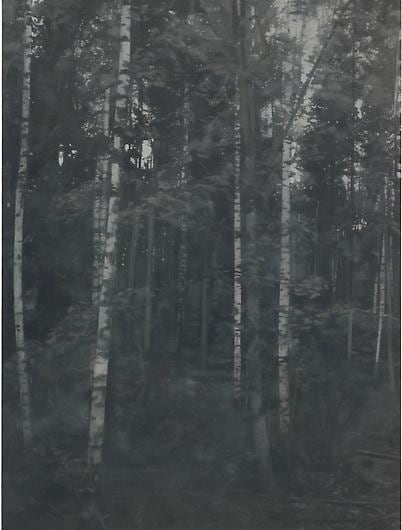 PAUL WINSTANLEY Birchwood 1