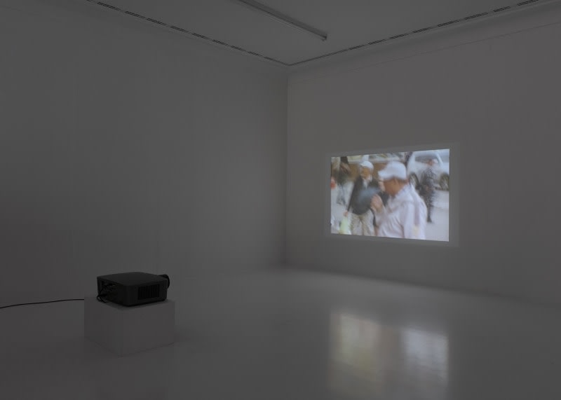 LEIGH LEDARE Installation view, Manifesta 11, Zurich, Switzerland, 2016&nbsp;