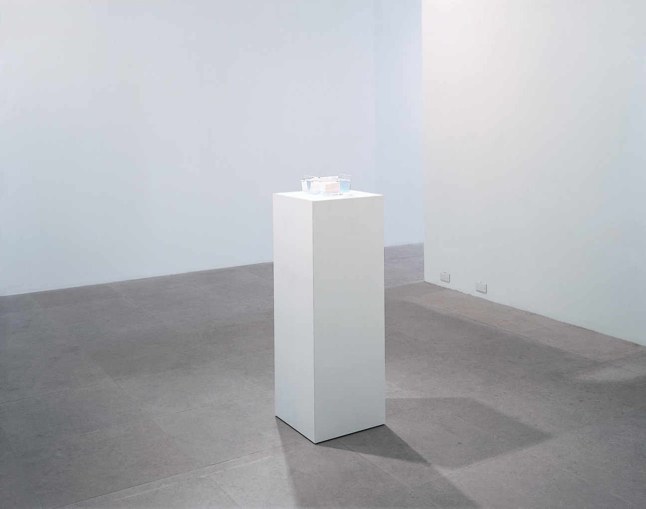 JONATHAN HOROWITZ Tofu on Pedestal in Gallery 2002