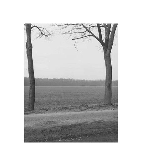 MICHAEL SCHMIDT Untitled (Landscape)
