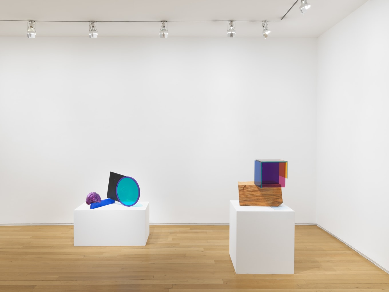SARAH BRAMAN Installation view of Growth at Mitchell-Innes & Nash, New York, 2019