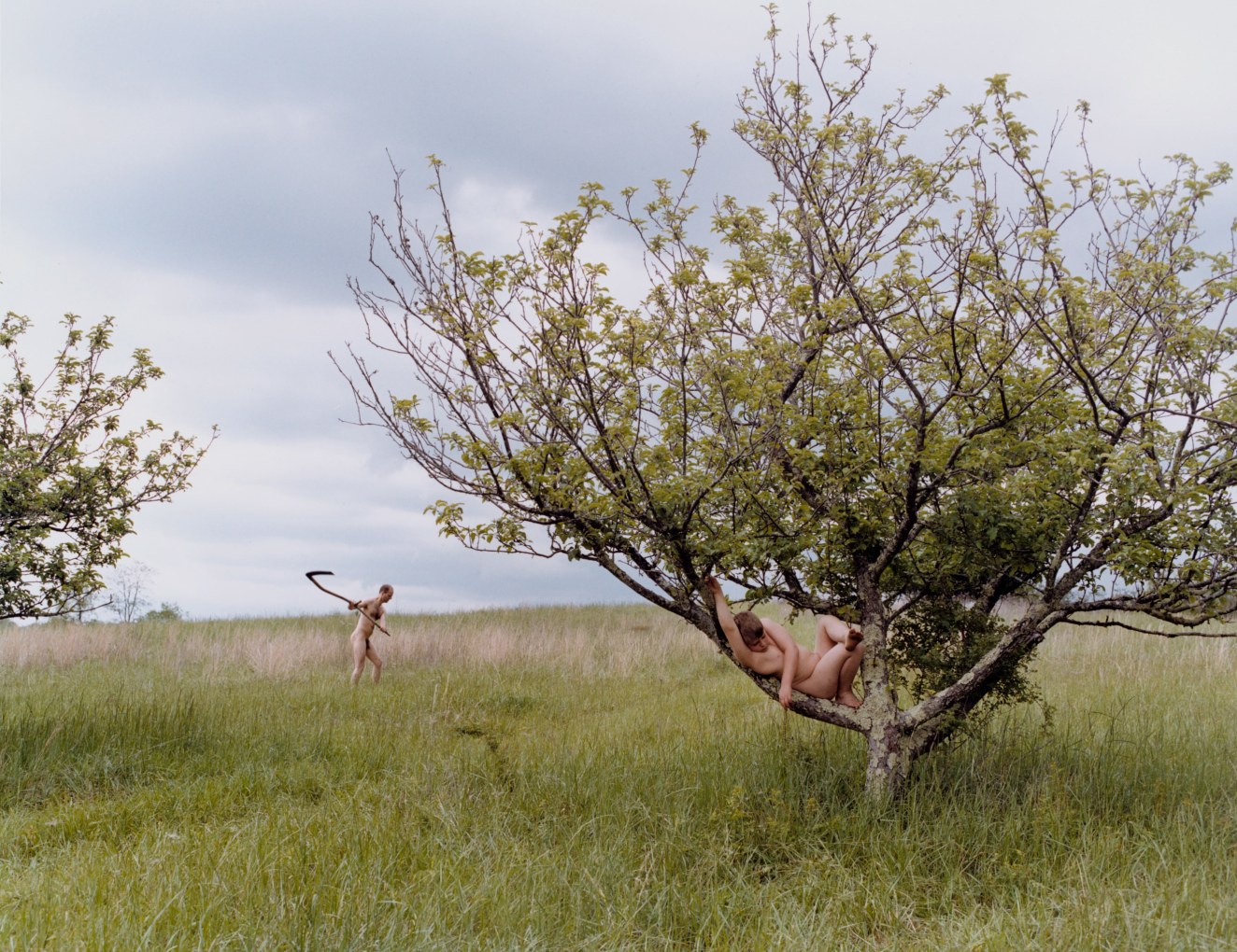 JUSTINE KURLAND Peach Tree 2002