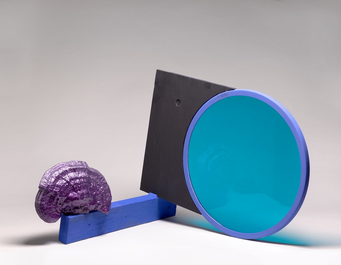 SARAH BRAMAN Night walk with Sonny (that year that Phil got everybody flashlights) 2019