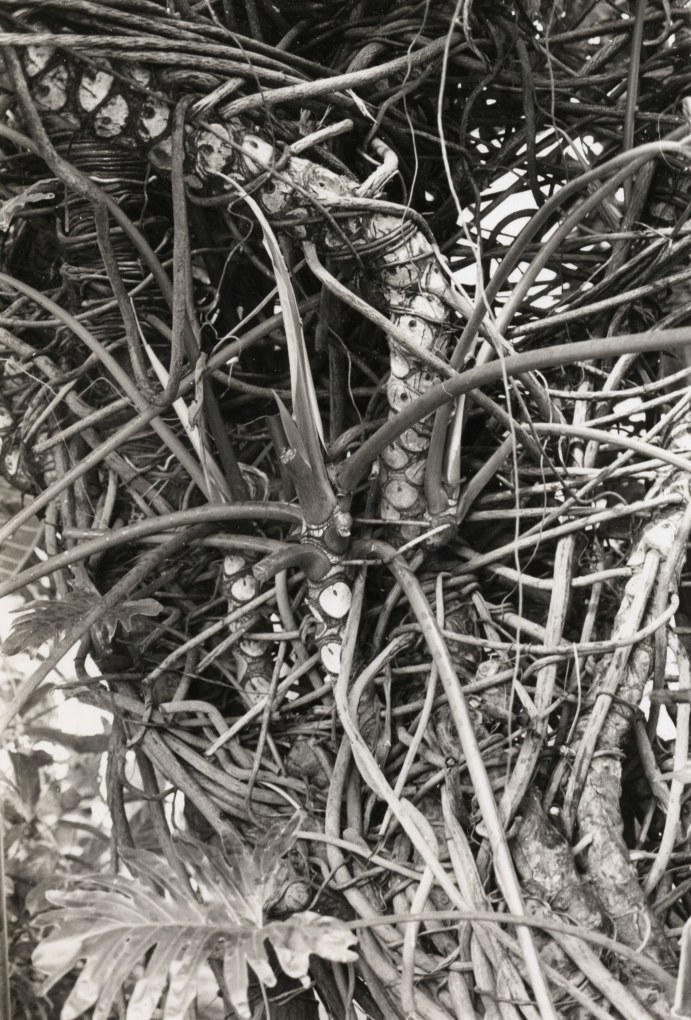 JAY DeFEO Untitled