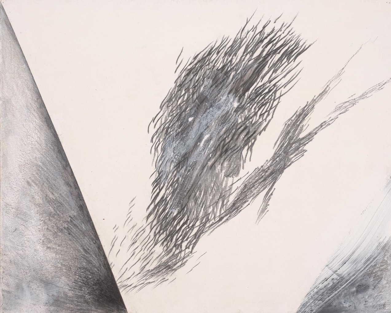 JAY DeFEO
