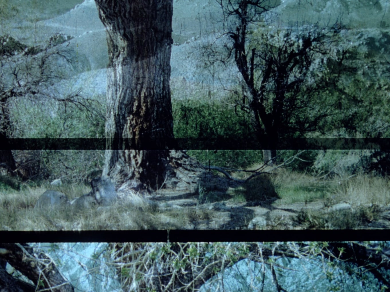 PAT O&#039;NEILL Horizontal Boundaries