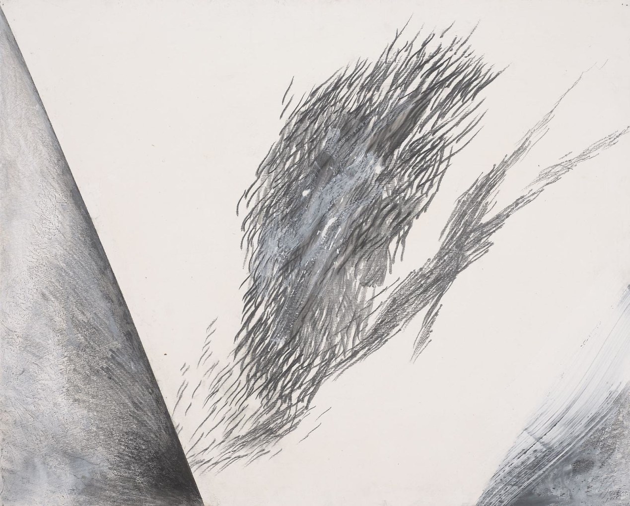 JAY DeFEO