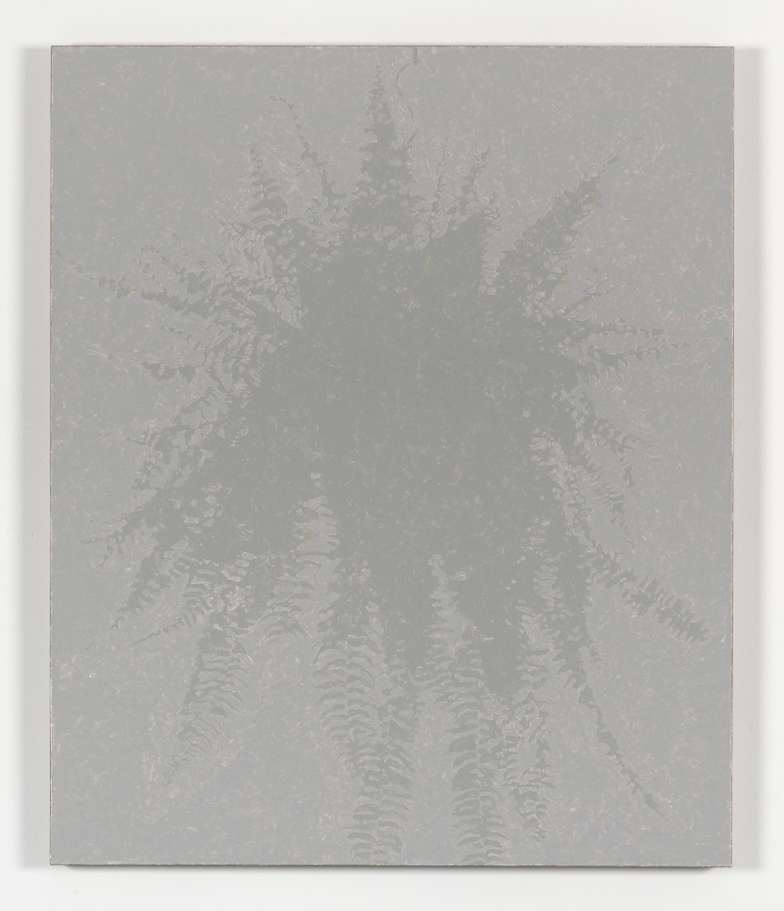 JONATHAN HOROWITZ Boston Fern 2012