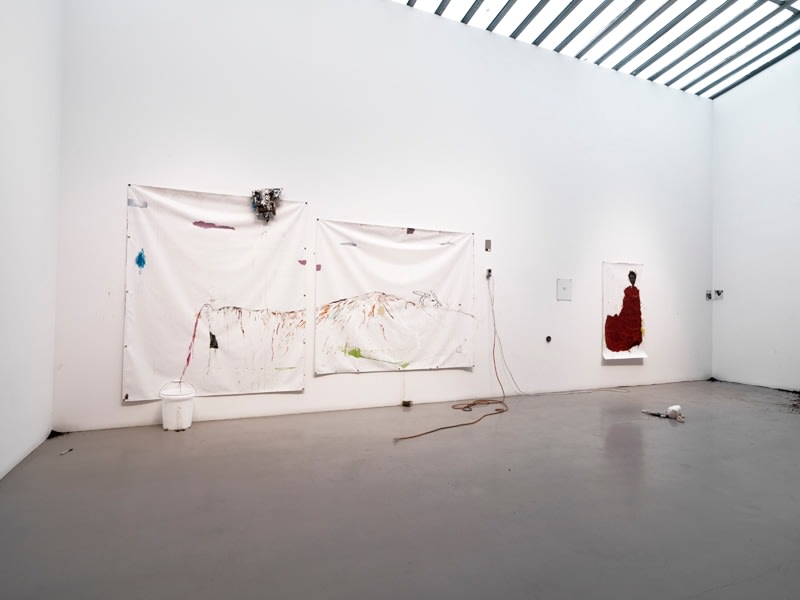 POPE.L Landscape + Object + Animal