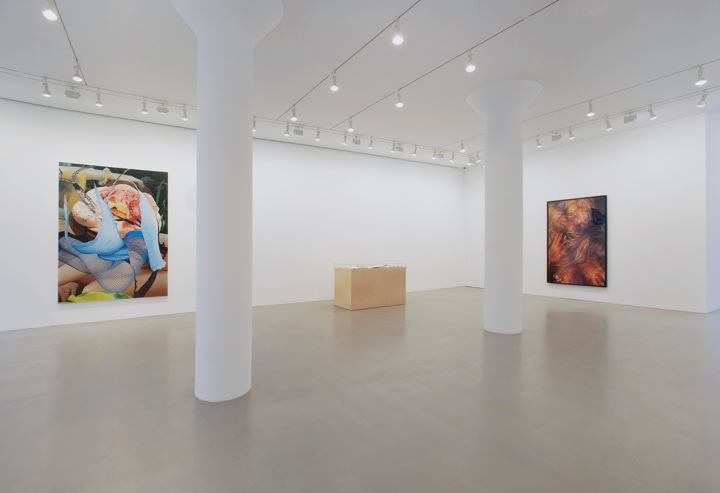 VANESSA BEECROFT, JEFF KOONS, ELIZABETH PEYTON, RICHARD PRINCE, JULIAN SCHNABEL&nbsp;AND CINDY SHERMAN