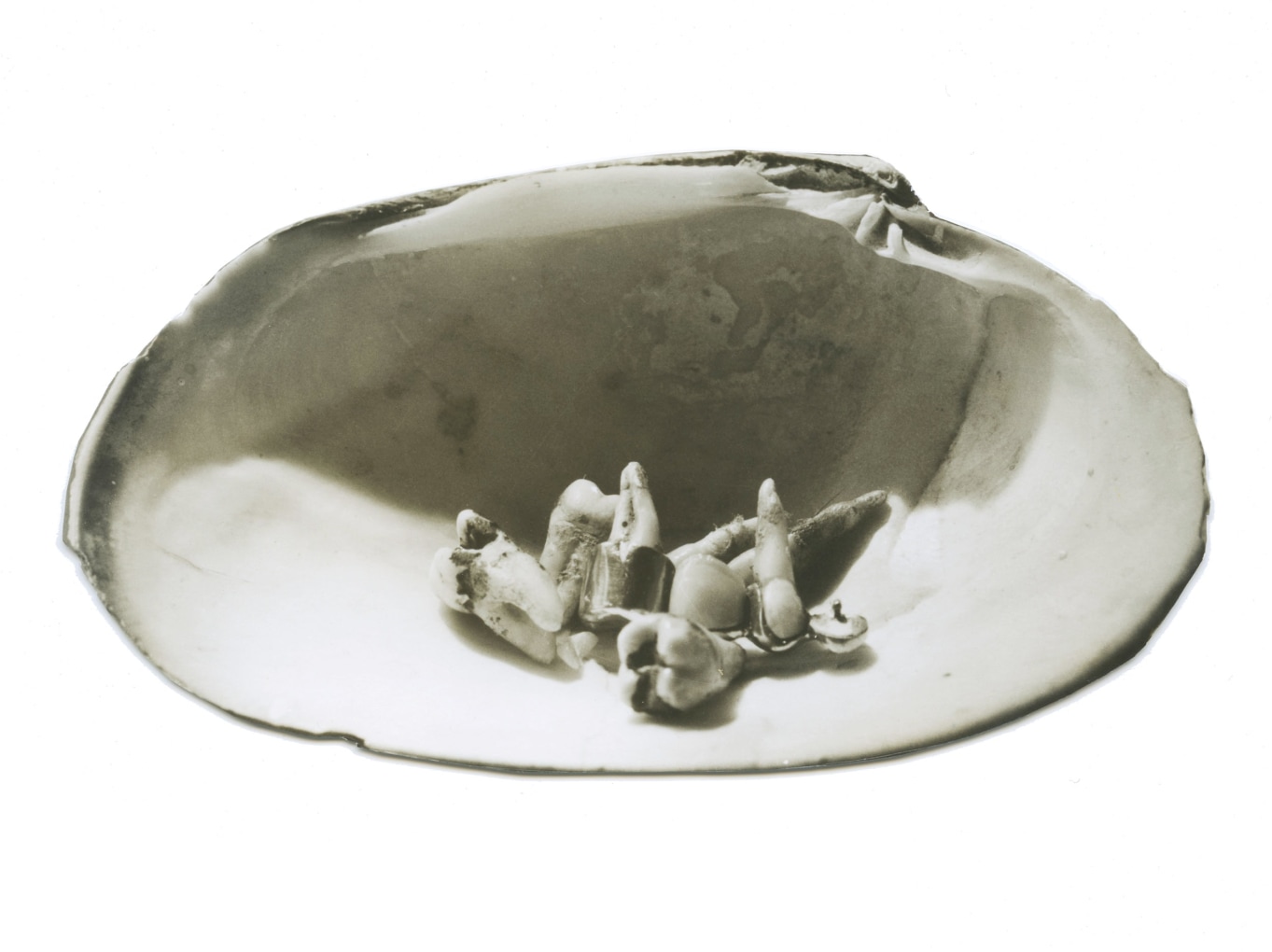 JAY DeFEO Untitled