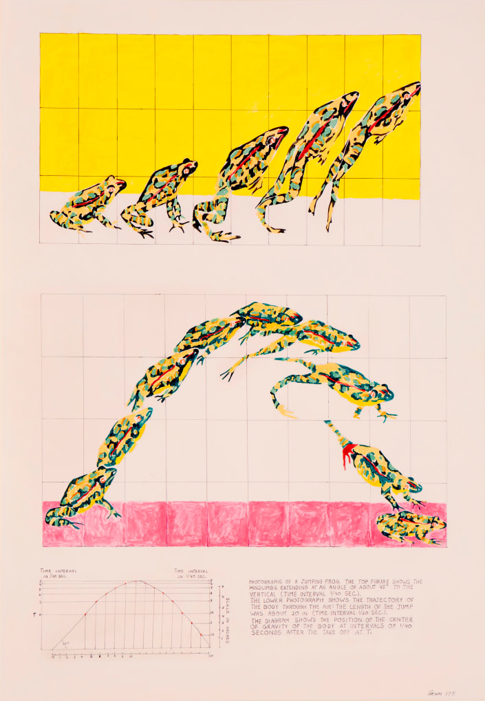 NANCY GRAVES Photographs of a Jumping Frog at 1/40 Second 1971