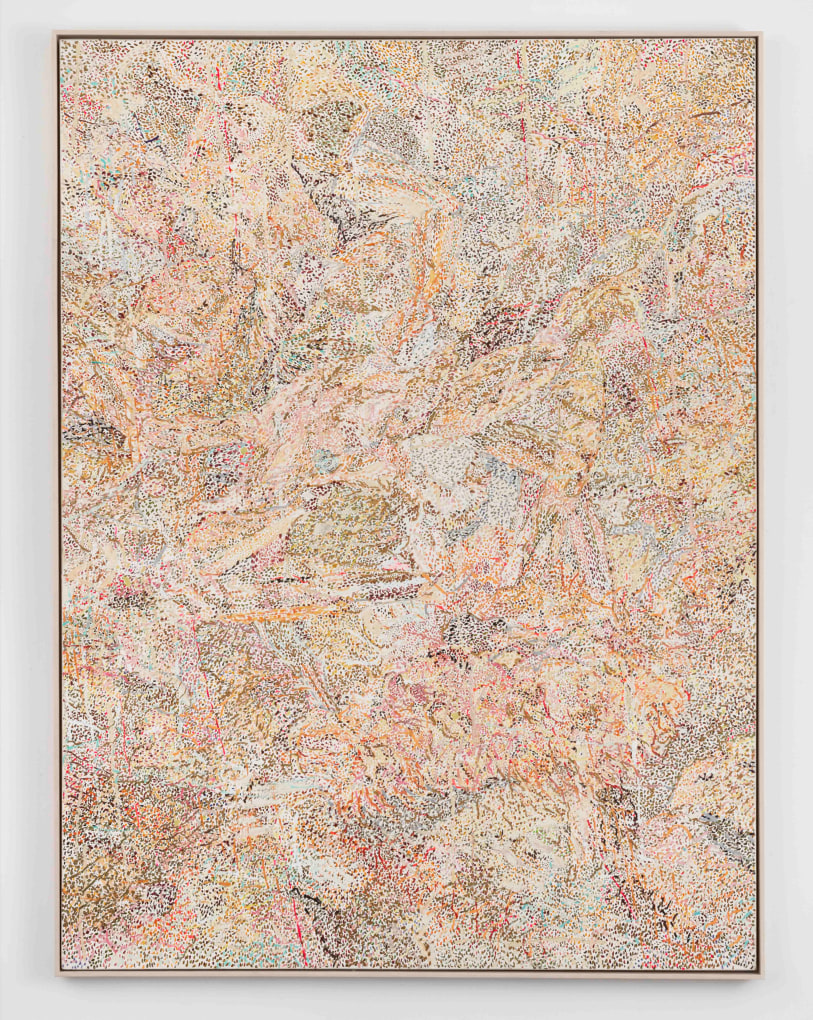 NANCY GRAVES, Camouflage Series #4