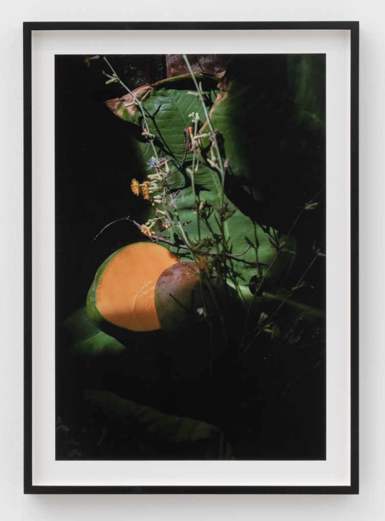 KAY KWABIA  Play With Your Food 2020