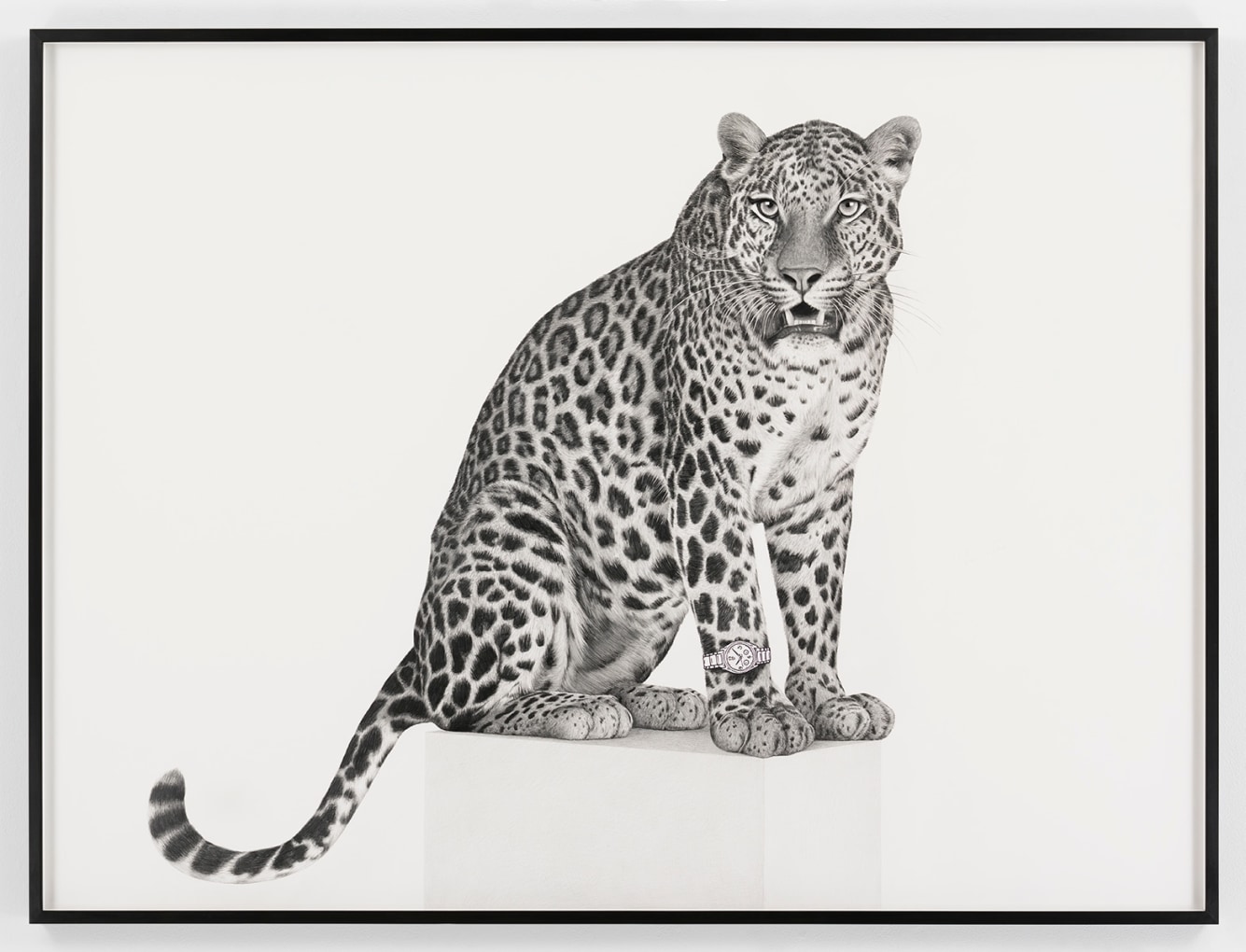 KARL HAENDEL Jaguar 2019