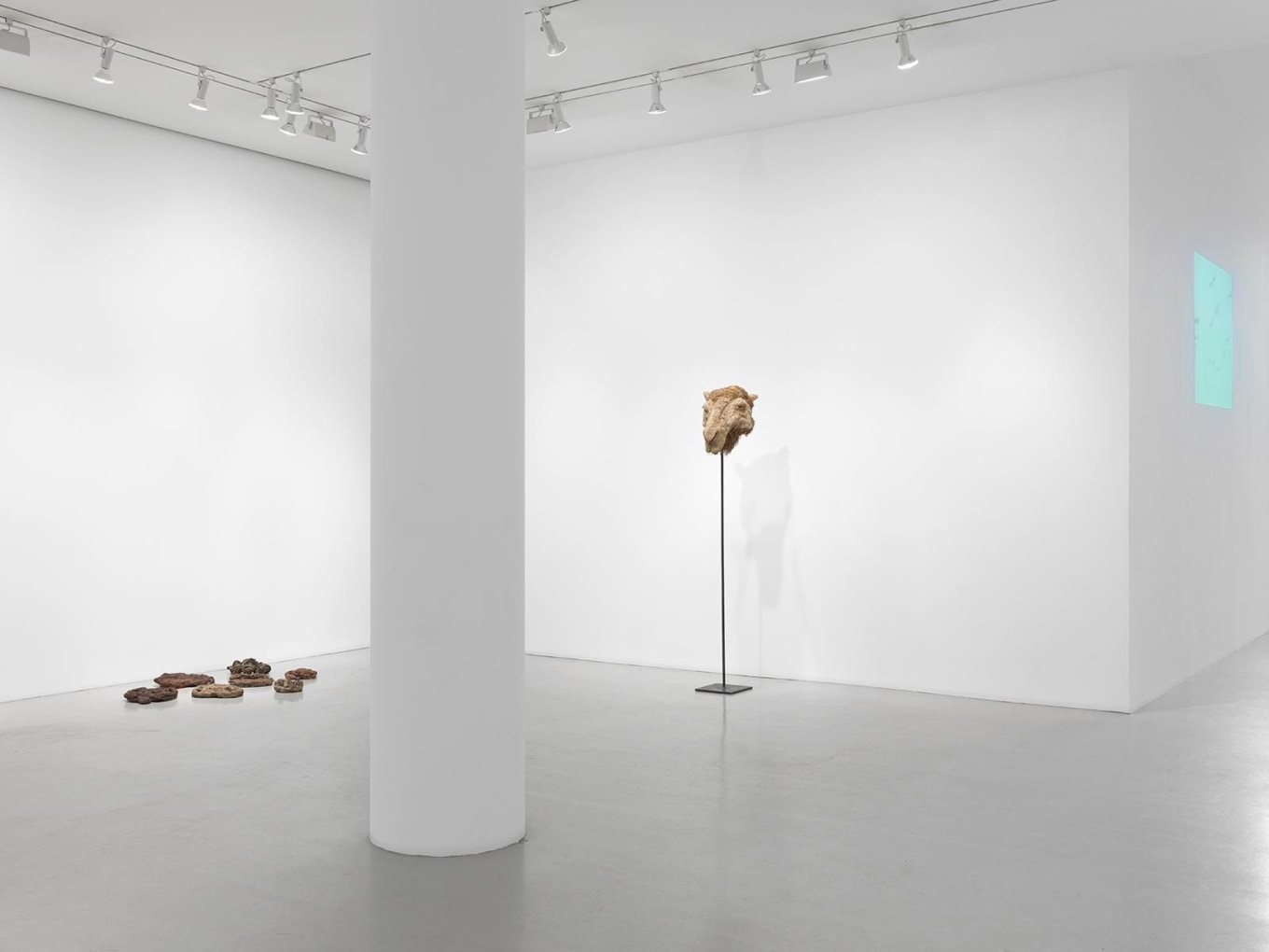 NANCY GRAVES Installation view at Mitchell-Innes & Nash, NY, 2015