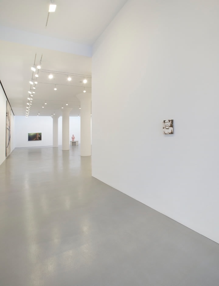 VANESSA BEECROFT, JEFF KOONS, ELIZABETH PEYTON, RICHARD PRINCE, JULIAN SCHNABEL&nbsp;AND CINDY SHERMAN