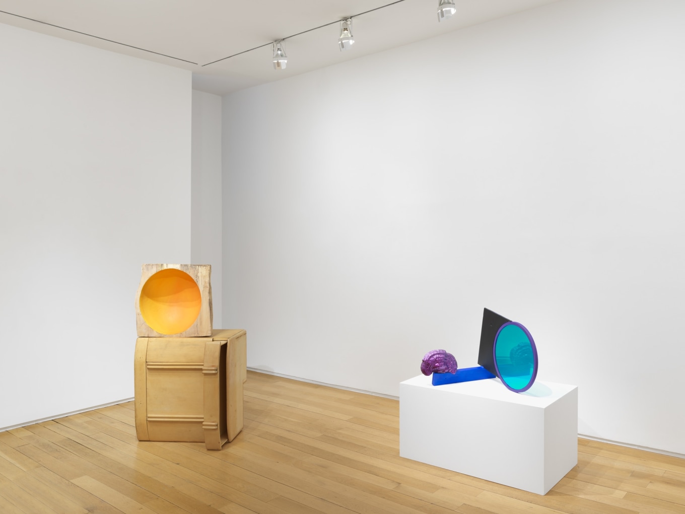 SARAH BRAMAN Installation view of Growth at Mitchell-Innes & Nash, New York, 2019