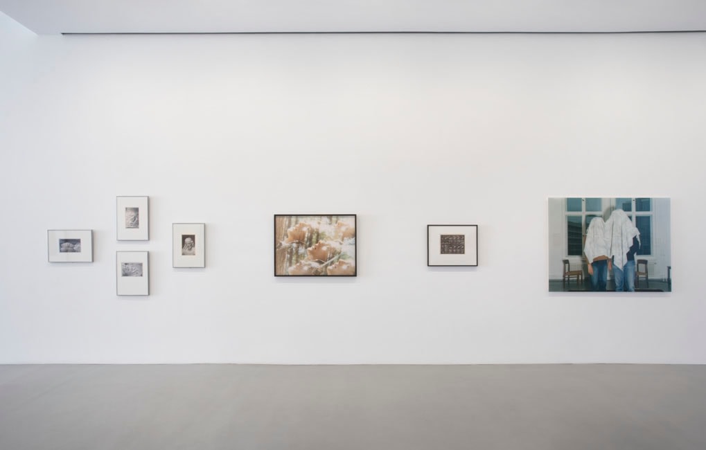 CURATED BY: JUSTINE KURLAND & DAN TOROP