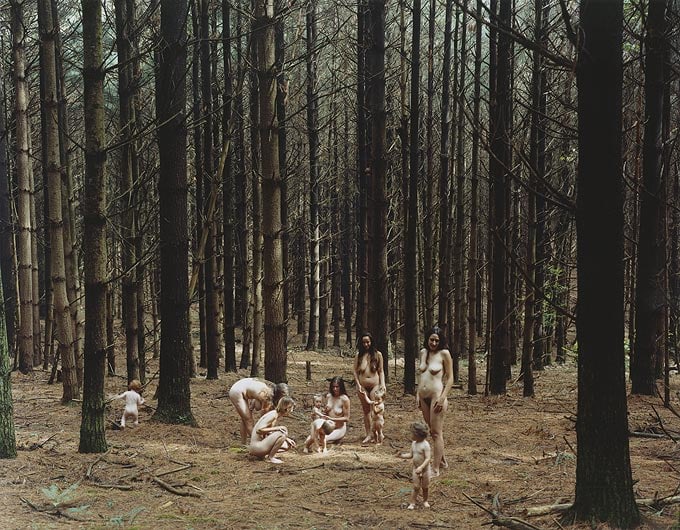 JUSTINE KURLAND Pine Forest