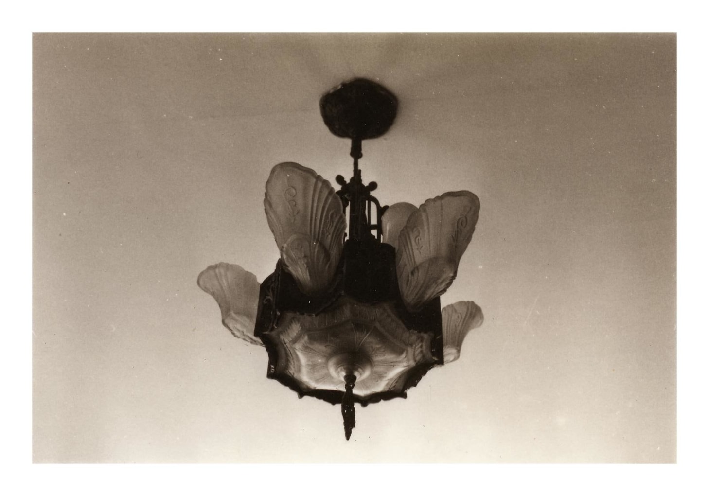 JAY DeFEO